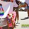 Cape_Town_Pride_2022_001