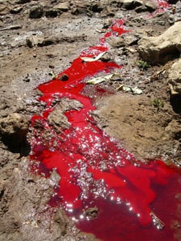 hate_crime_law_needed_in_south_africa