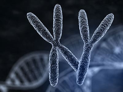 Science_of_Sexual_Orientation_article