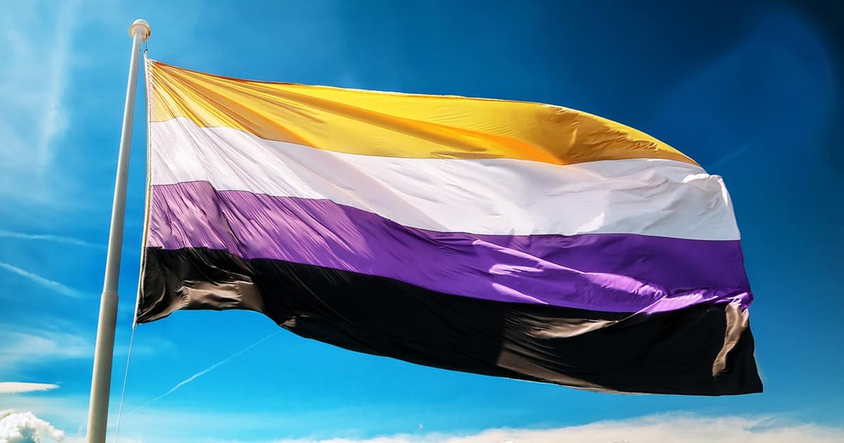 A picture of the non-binary pride flag, which consists of four equally-sized horizontal bars of yellow, white, purple, and black. 